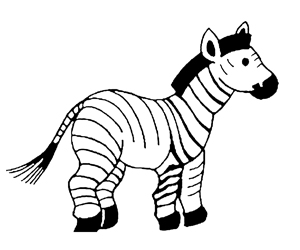 Animal-Zebra