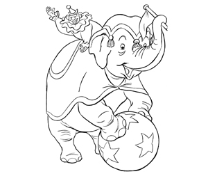 circus-elephant
