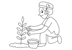 gardener Boy 