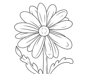Draw cartoon Flowers