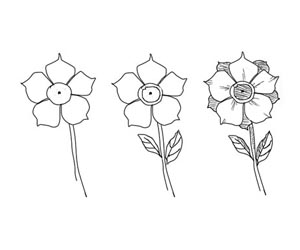 flowers drawing picture