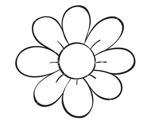 flower sketch drawings
