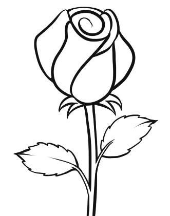Colorings- rose flower drawing for kids