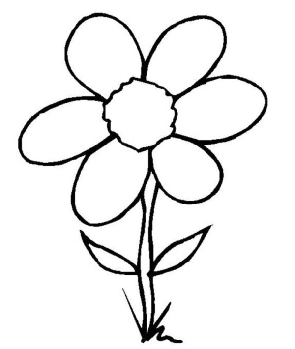 Easy Flower Drawing Ideas | flower, drawing | Beautiful Flower Drawings for  Kids :) | By Activities For Kids | Hello and welcome to a new video where  we will demonstrate drawing